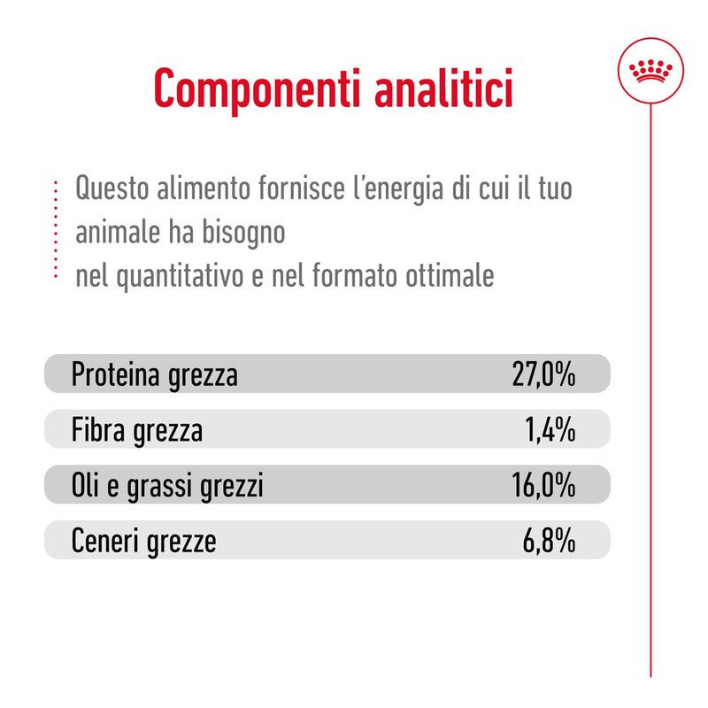 2x8kg Royal Canin Mini Adult - Crocchette per Cani 2x8kg Royal Canin Mini Adult - Crocchette per Cani
